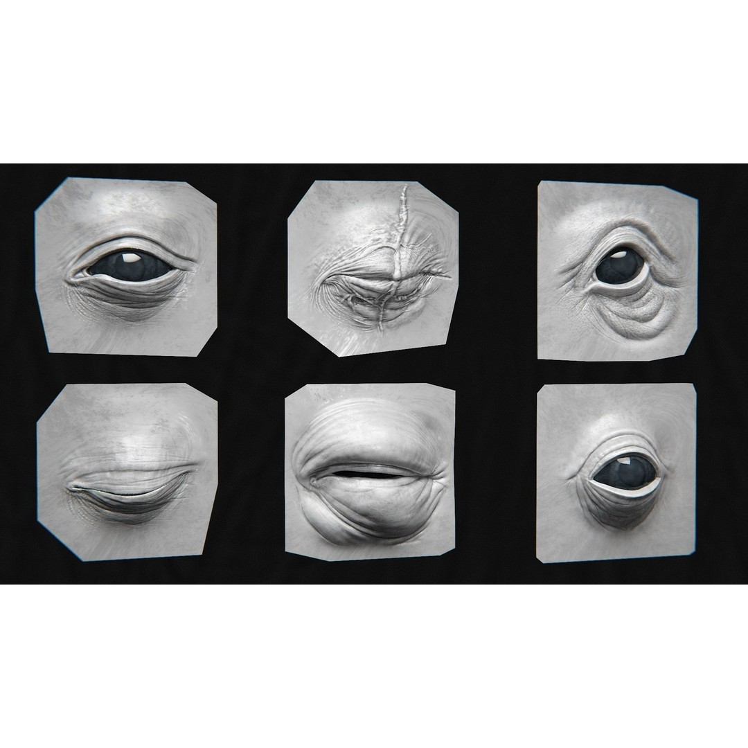High Detailed Eye 3D Model – Creature Eye Sculpts for ZBrush & Blender - View 7