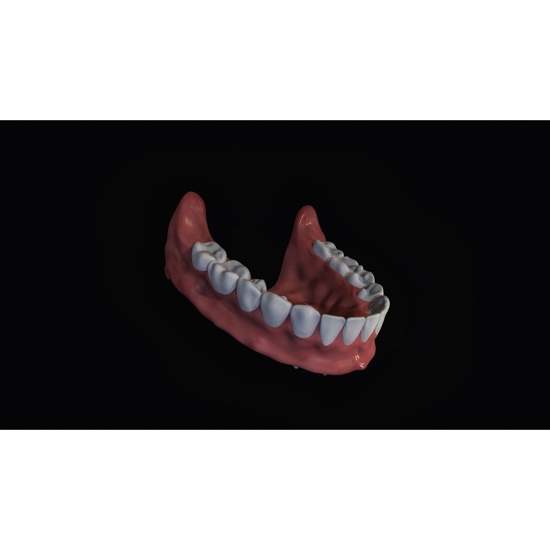 Teeth 3D Model – Low Poly Character Mouth with Animation - View 10