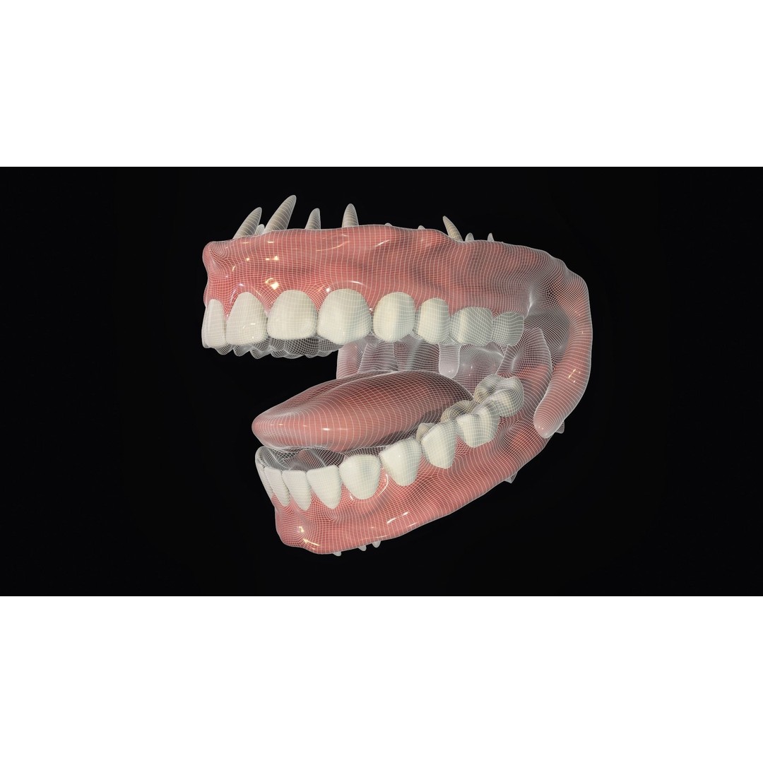 Teeth 3D Model – Low Poly Character Mouth with Animation - View 13