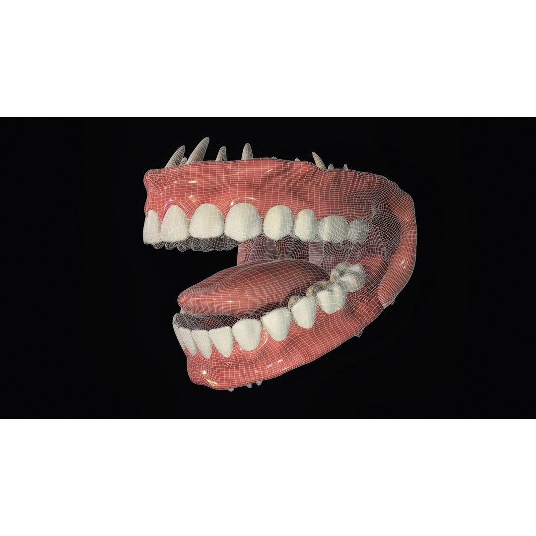 Teeth 3D Model – Low Poly Character Mouth with Animation - View 14