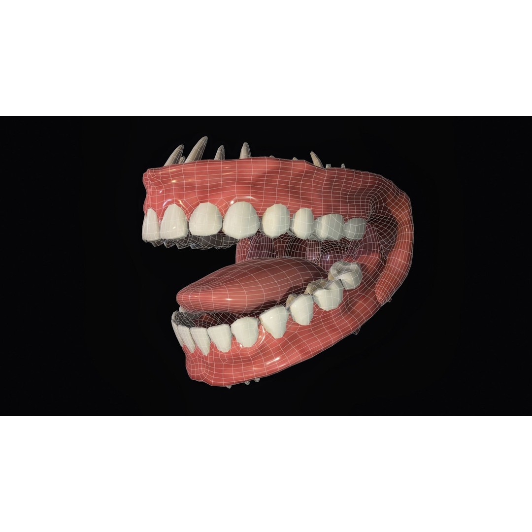 Teeth 3D Model – Low Poly Character Mouth with Animation - View 15