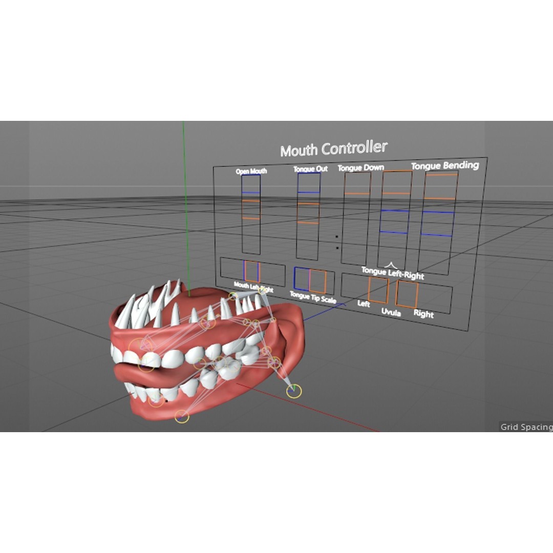 Teeth 3D Model – Low Poly Character Mouth with Animation - View 16