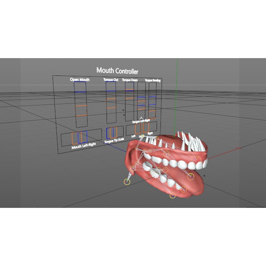 Teeth 3D Model – Low Poly Character Mouth with Animation - View 17