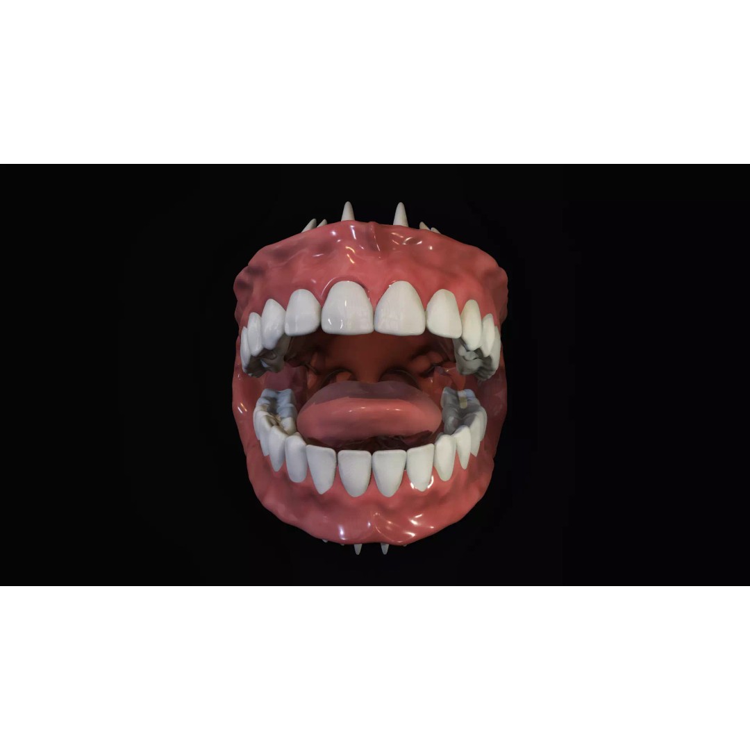 Teeth 3D Model – Low Poly Character Mouth with Animation - View 2