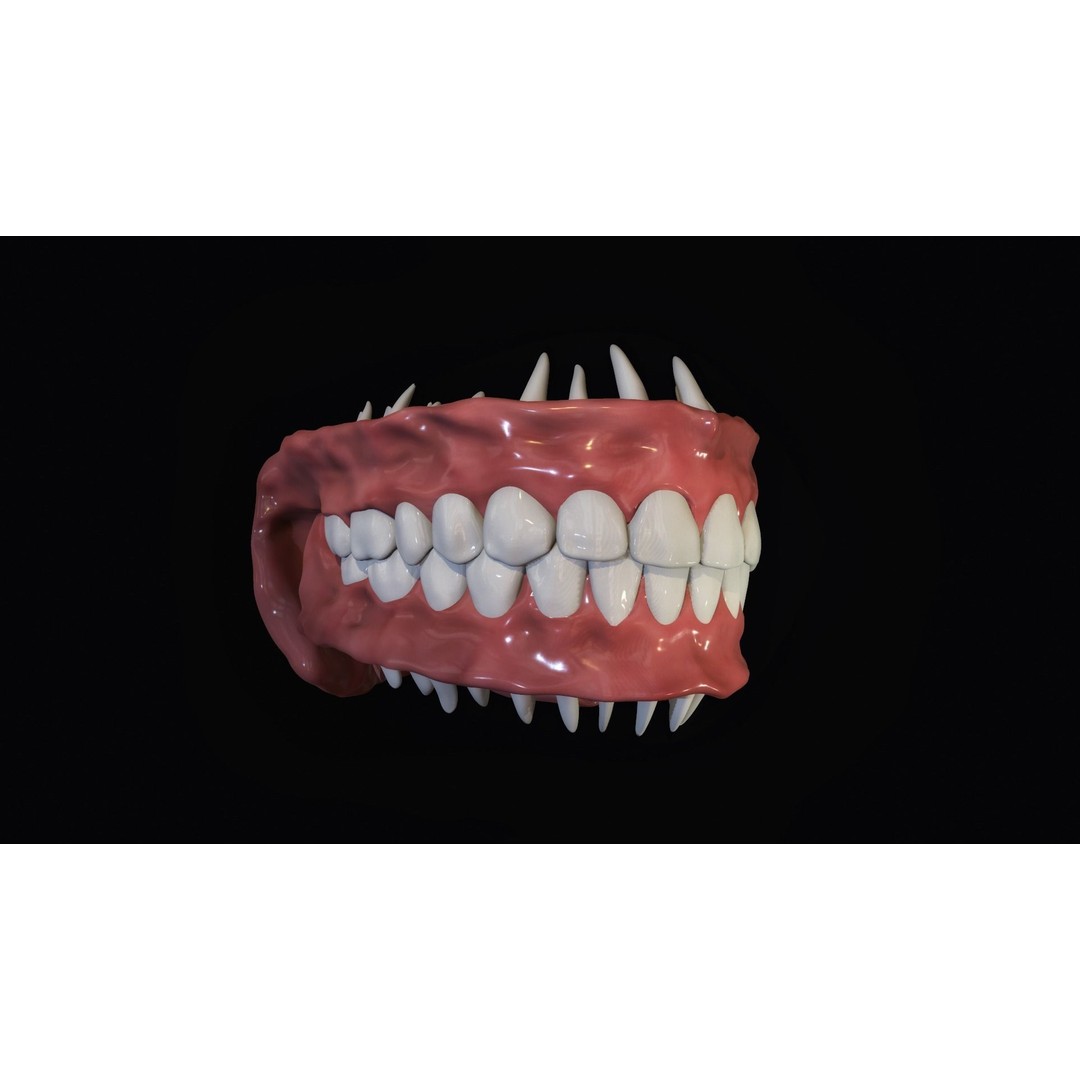 Teeth 3D Model – Low Poly Character Mouth with Animation - View 4