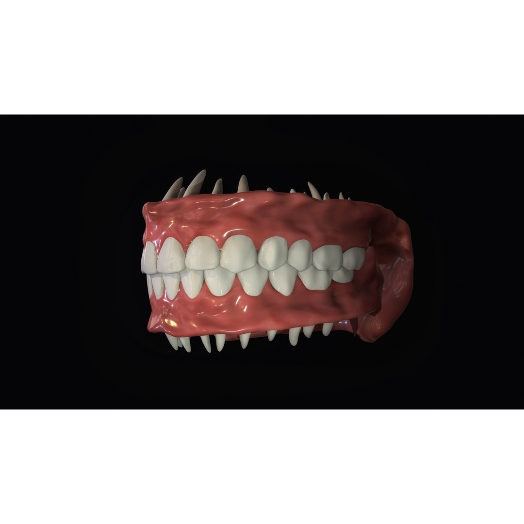 Teeth 3D Model – Low Poly Character Mouth with Animation - View 5