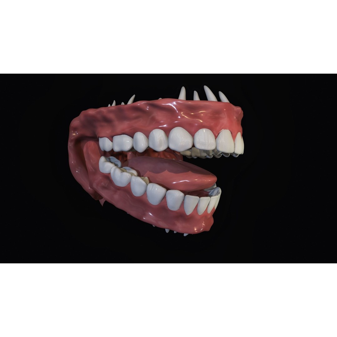 Teeth 3D Model – Low Poly Character Mouth with Animation - View 6