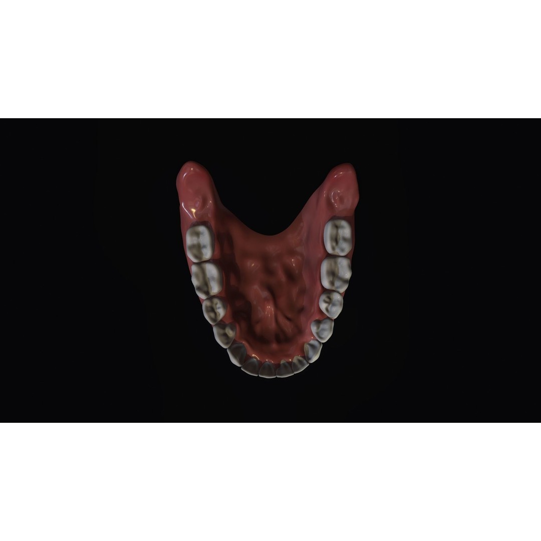 Teeth 3D Model – Low Poly Character Mouth with Animation - View 9