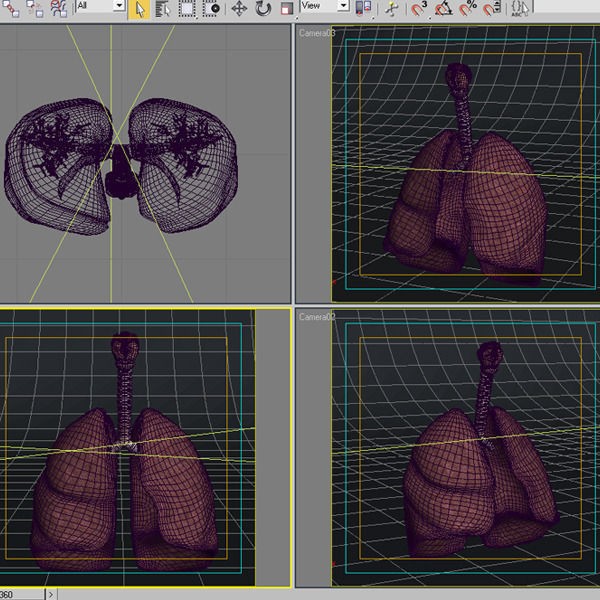Pulmonary Alveolus 3D Model – Human Anatomy Asset, FBX & OBJ - View 20