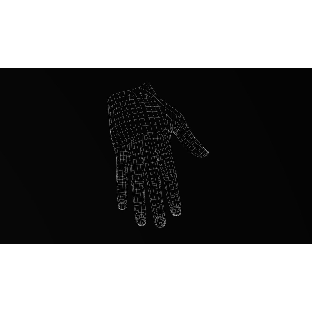 Realistic Hand 3D Model – Low Poly Rigged Character for VR, FBX, Blender - View 17