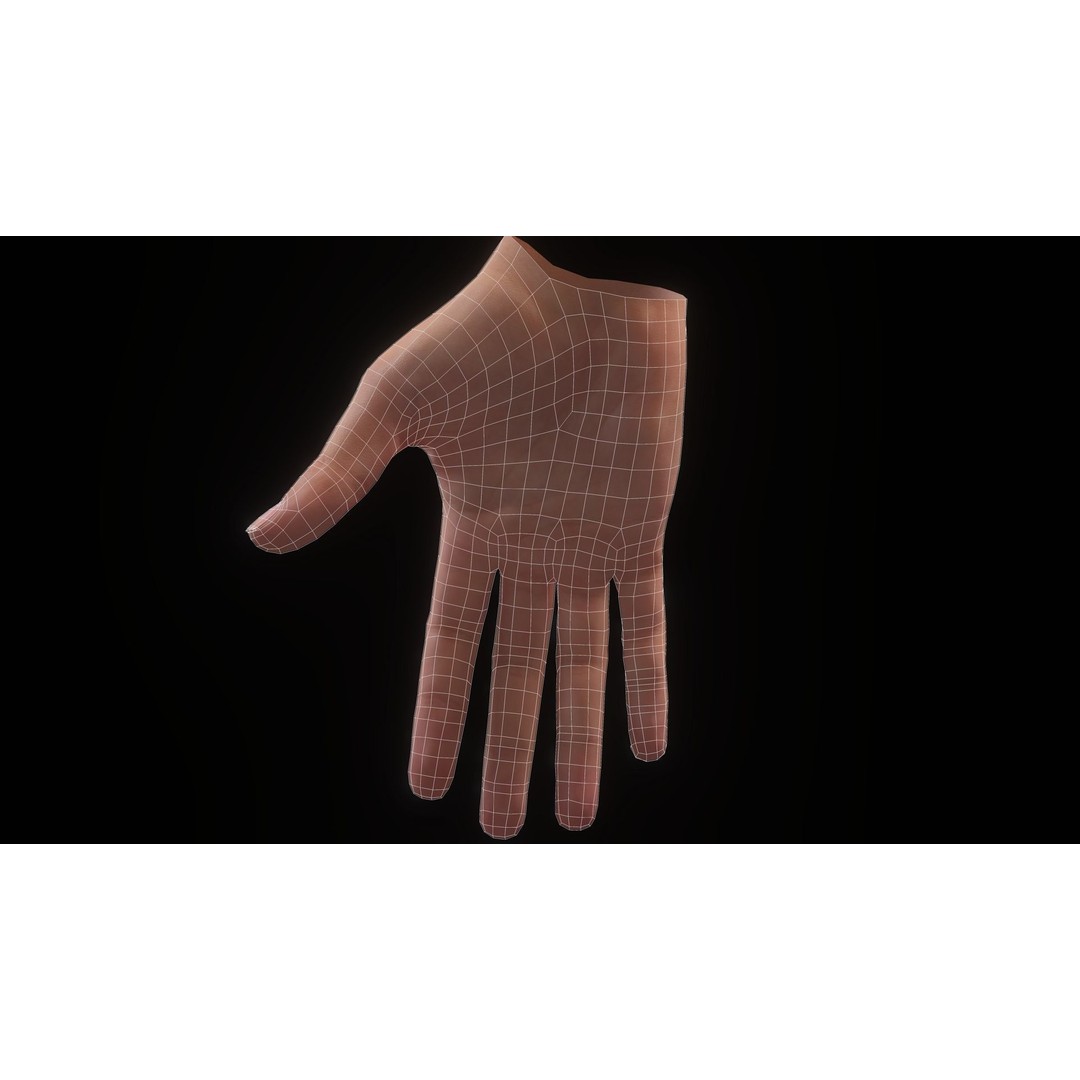 Realistic Hand 3D Model – Low Poly Rigged Character for VR, FBX, Blender - View 19