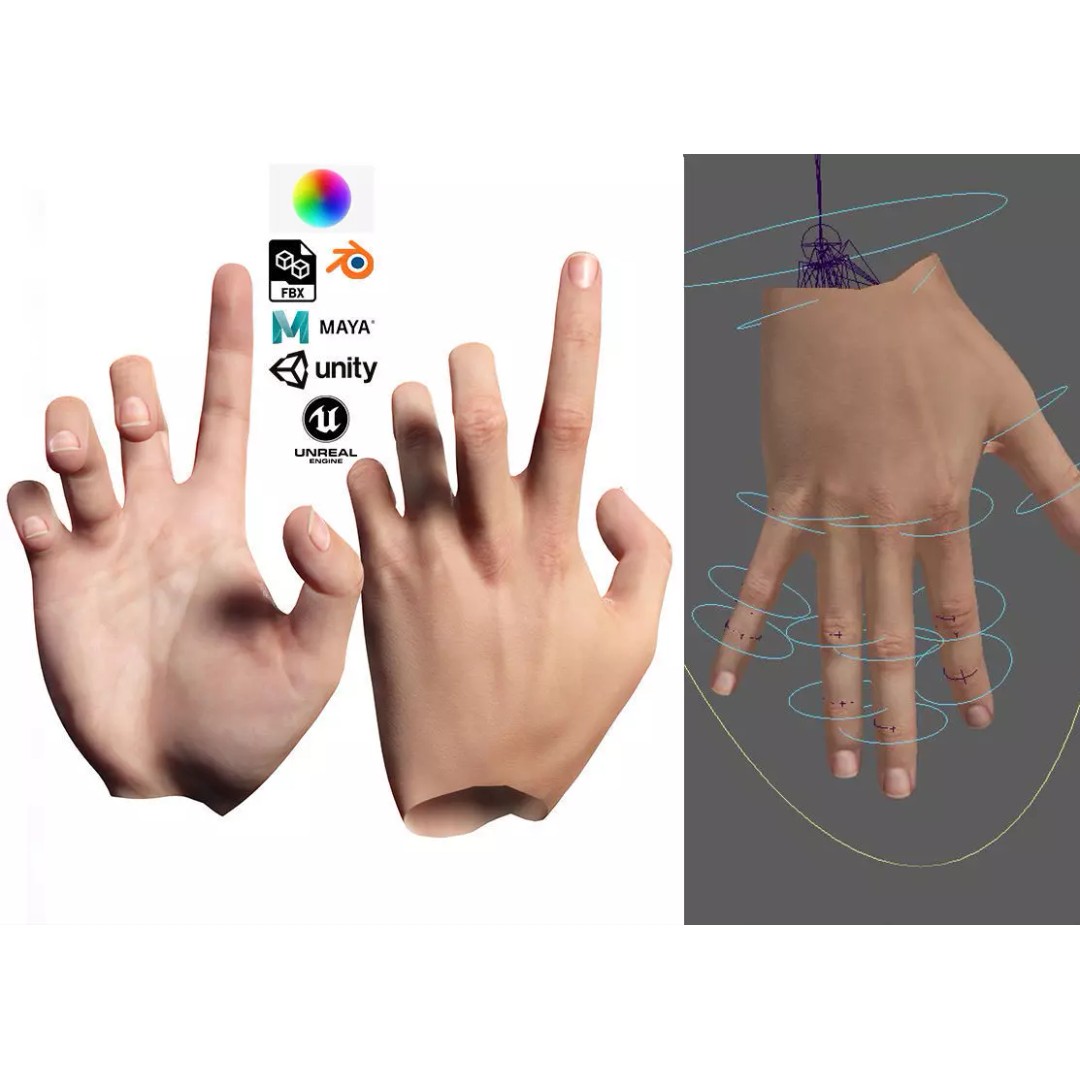 Realistic Hand 3D Model – Low Poly Rigged Character for VR, FBX, Blender - View 2