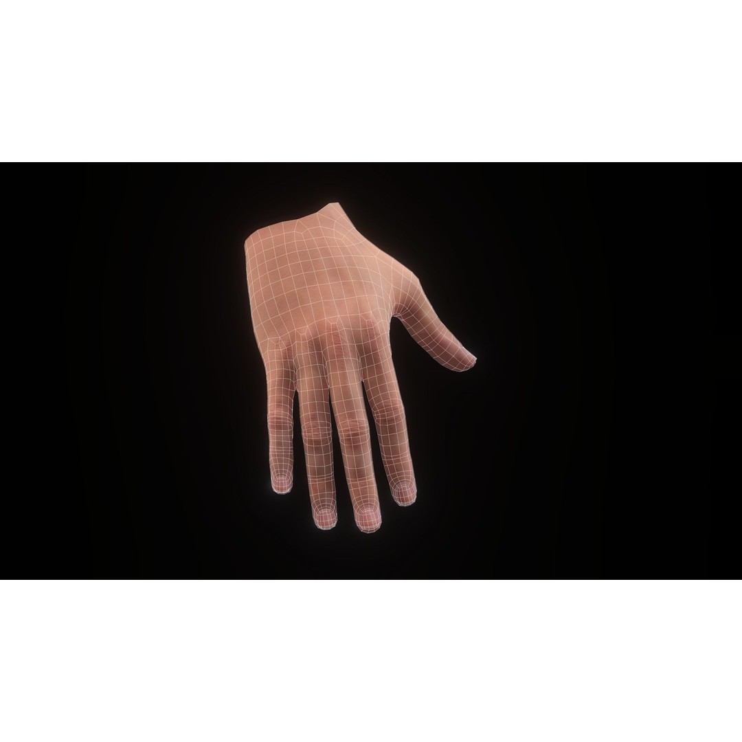 Realistic Hand 3D Model – Low Poly Rigged Character for VR, FBX, Blender - View 20