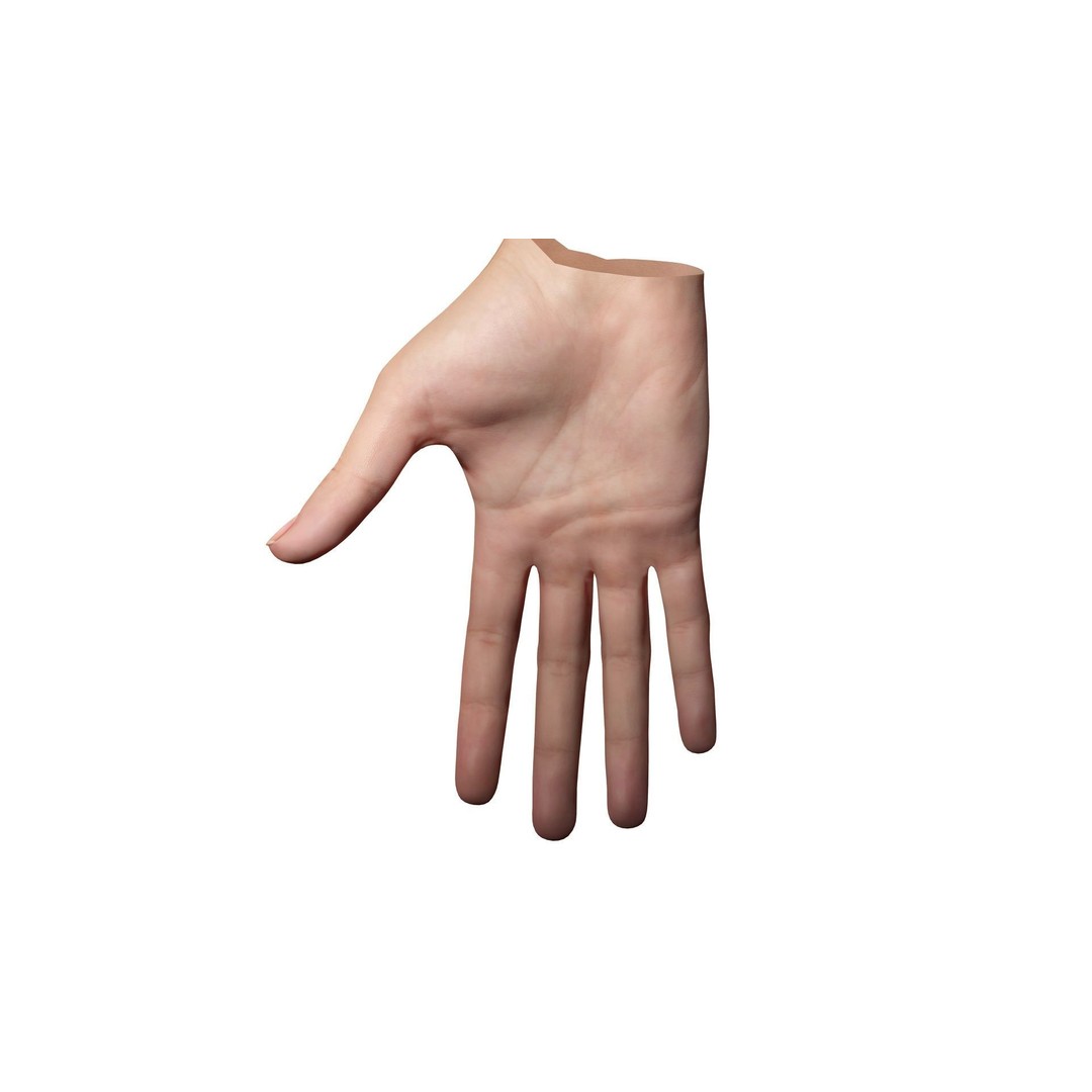 Realistic Hand 3D Model – Low Poly Rigged Character for VR, FBX, Blender - View 6