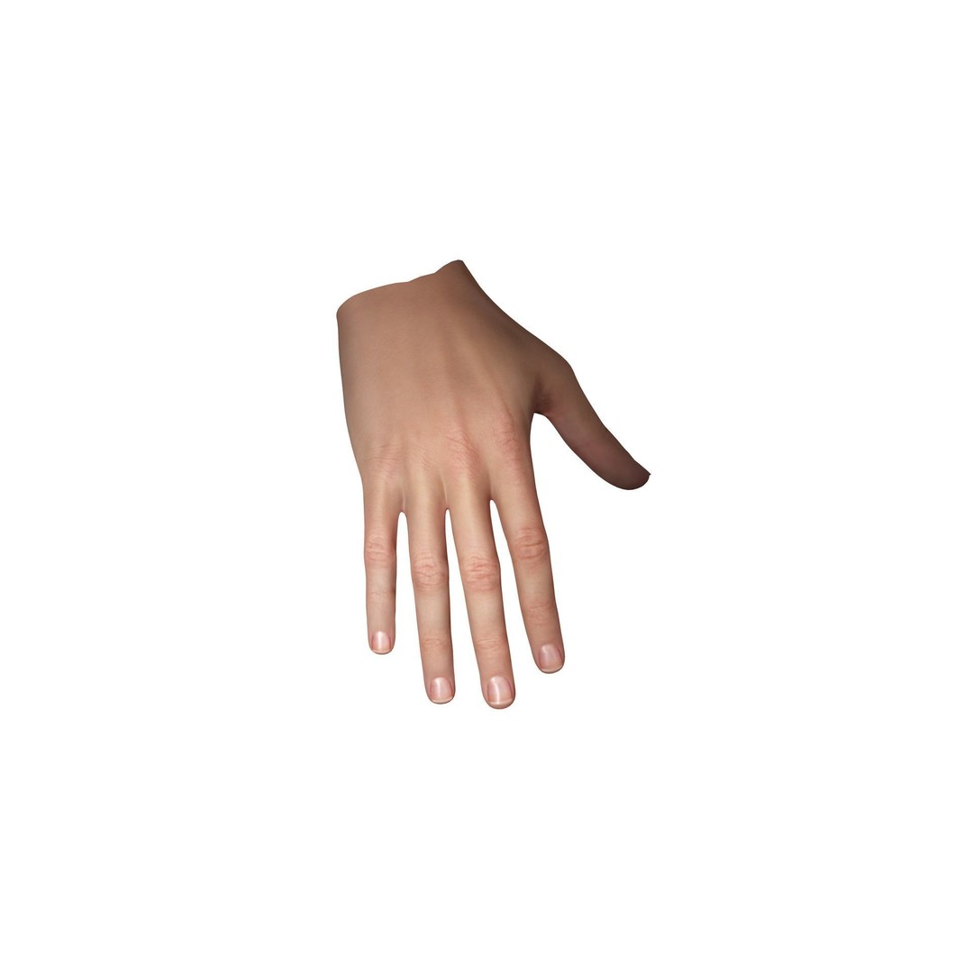 Realistic Hand 3D Model – Low Poly Rigged Character for VR, FBX, Blender - View 7