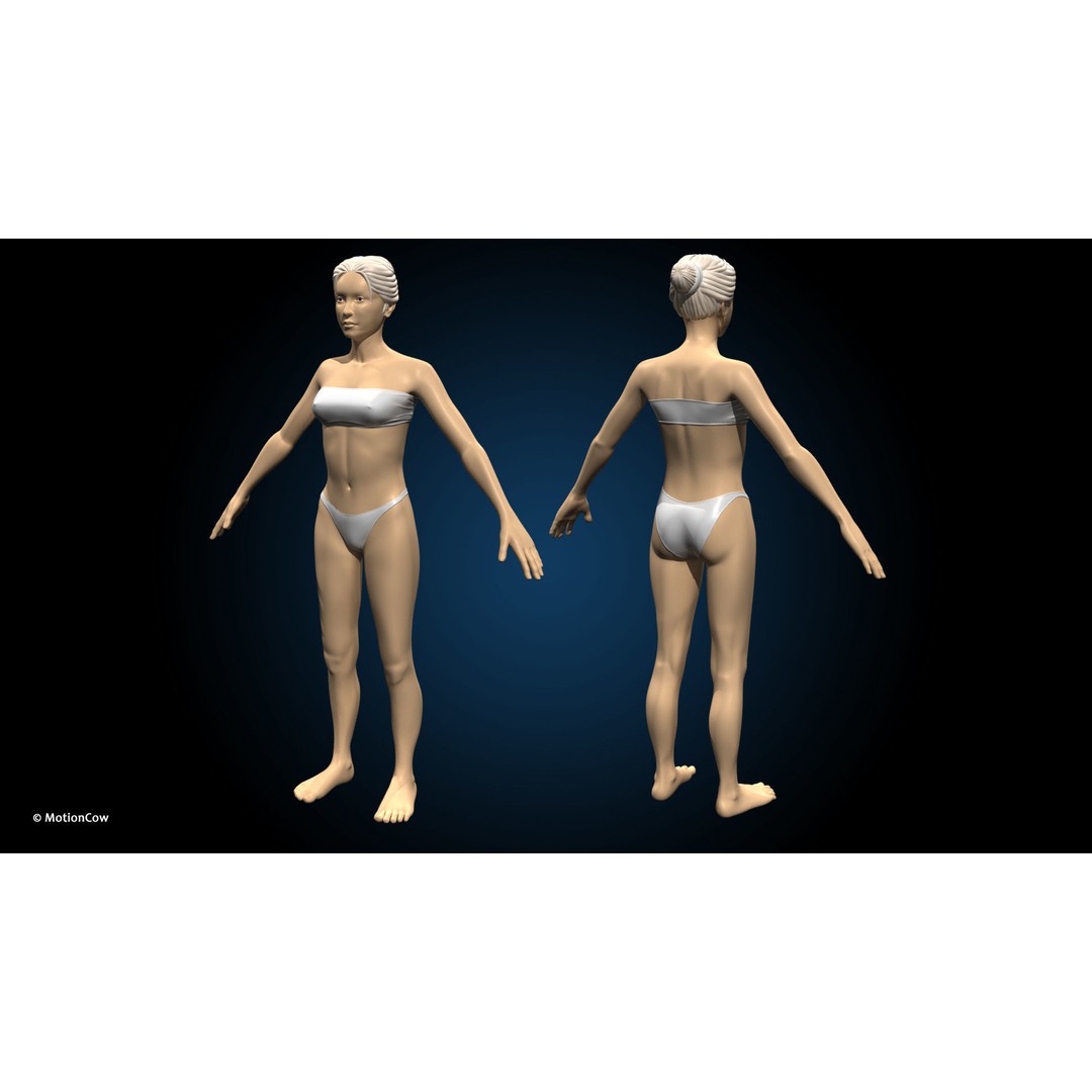 Female Muscular Skeletal 3D Model – Advanced Rigged Anatomy Asset, FBX - View 17