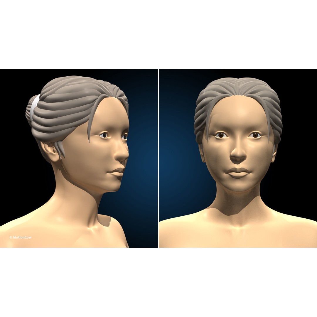 Female Muscular Skeletal 3D Model – Advanced Rigged Anatomy Asset, FBX - View 18
