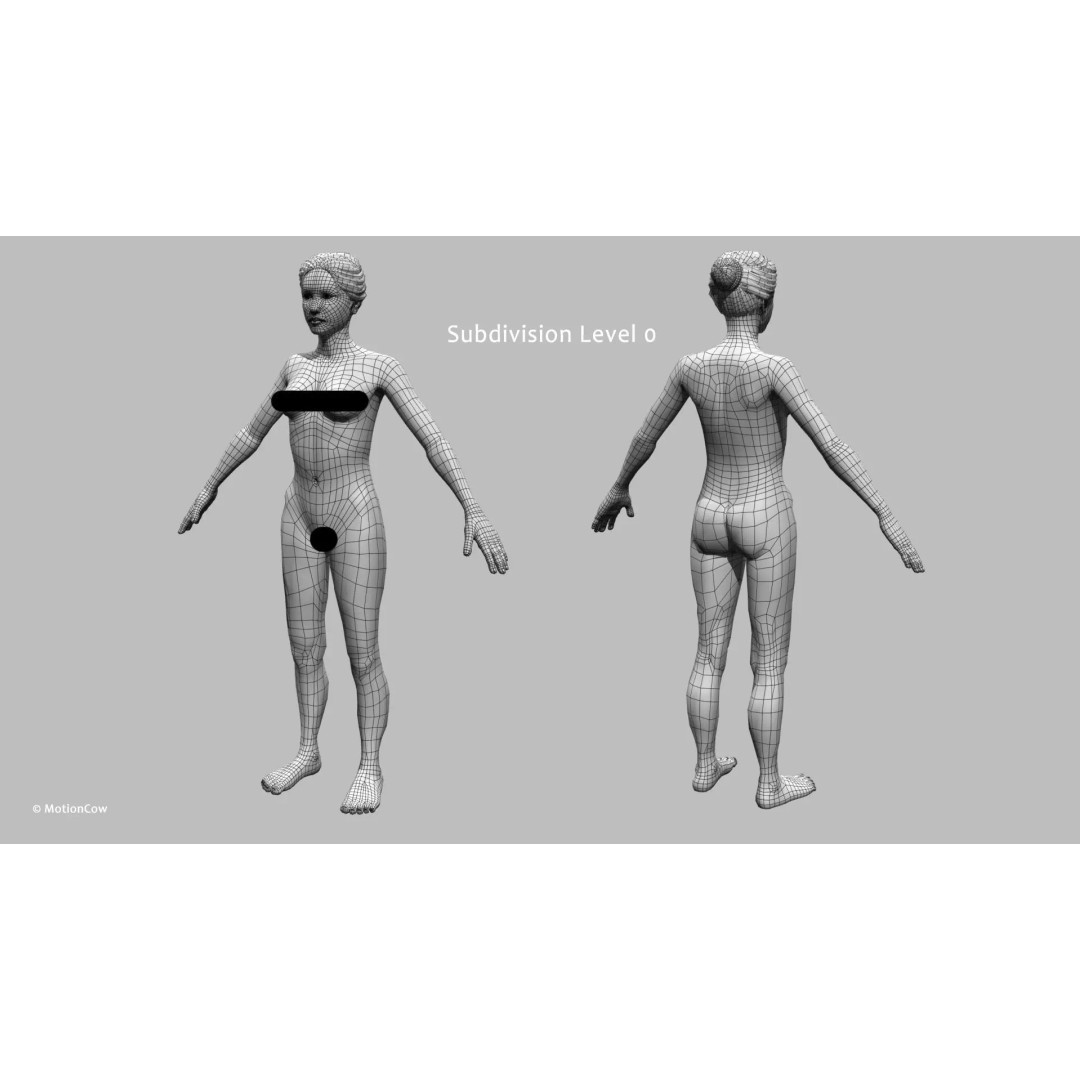 Female Muscular Skeletal 3D Model – Advanced Rigged Anatomy Asset, FBX - View 34