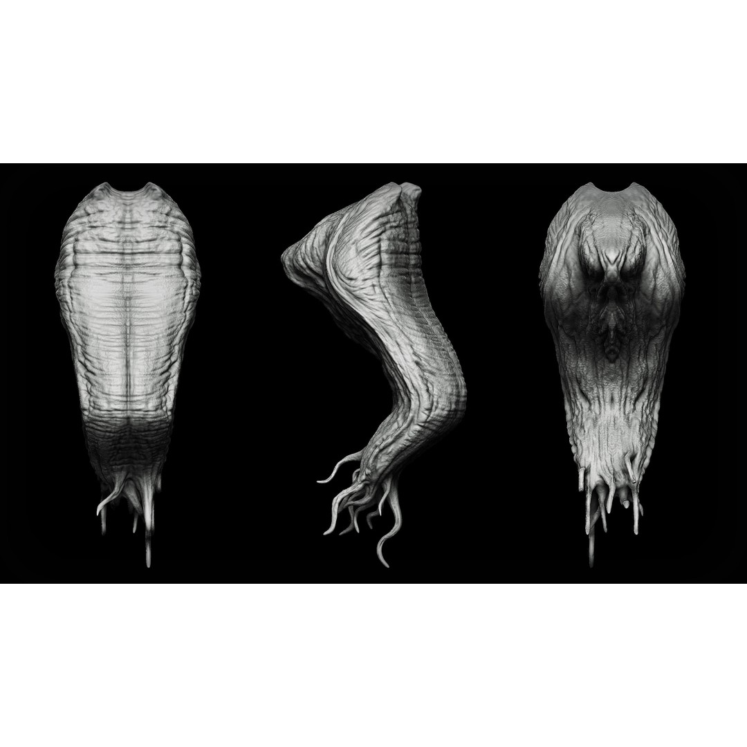 Tongues 3D Model – IMM Brushes & OBJ Files for Zbrush, Blender - View 13