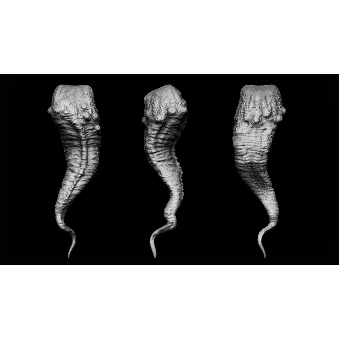Tongues 3D Model – IMM Brushes & OBJ Files for Zbrush, Blender - View 16