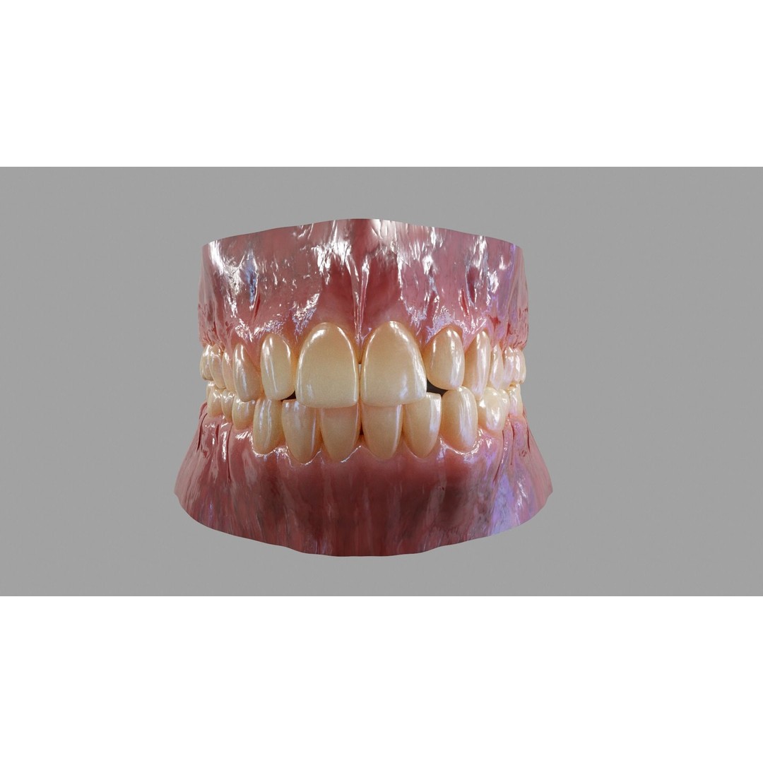 Gums Teeth and Tongue 3D Model – Low Poly Game Asset, PBR Textures - View 8