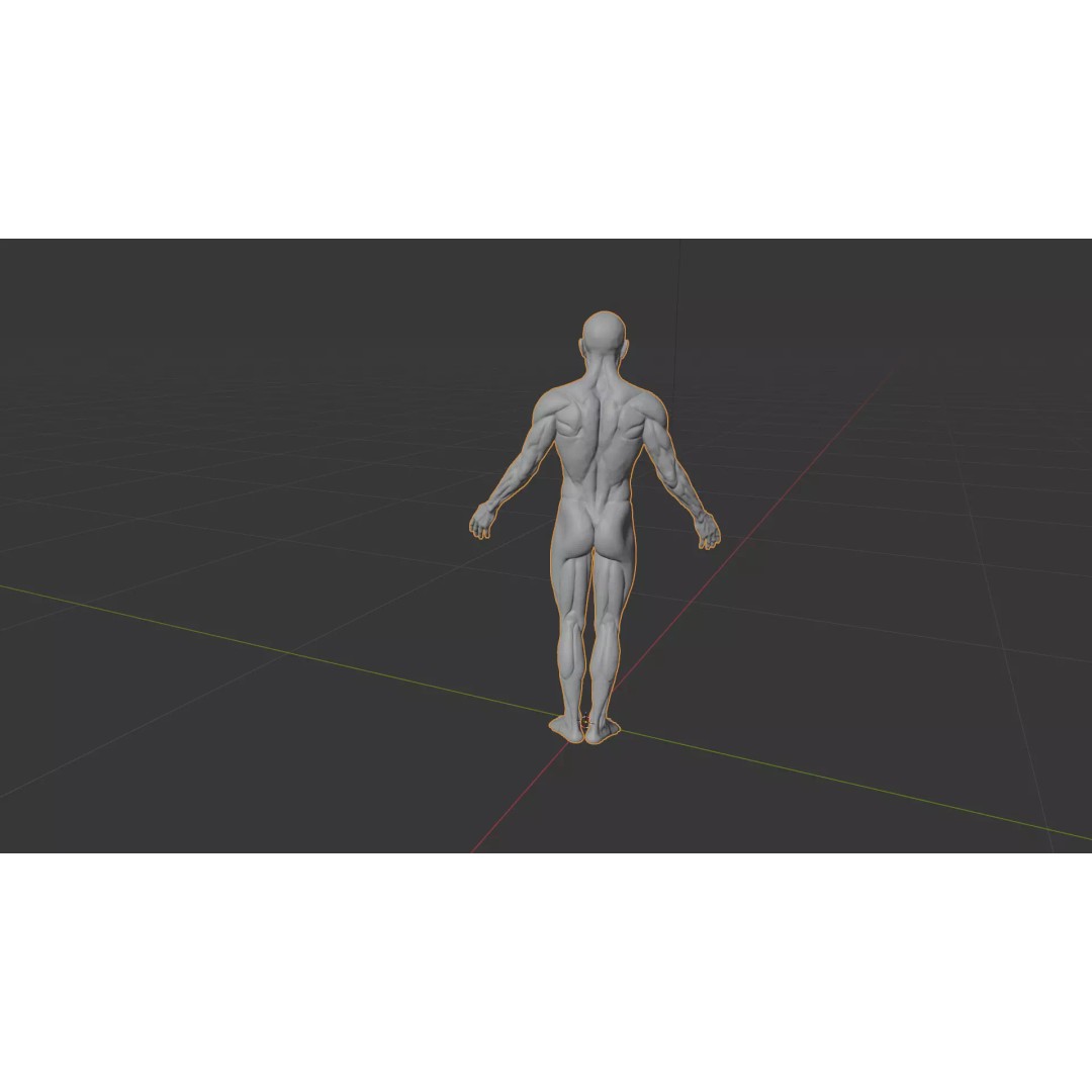 Human Muscle System 3D Model – Realistic Anatomy for Medical Use - View 14