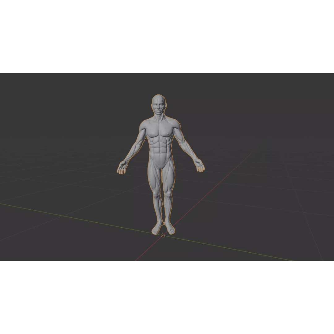 Human Muscle System 3D Model – Realistic Anatomy for Medical Use - View 15