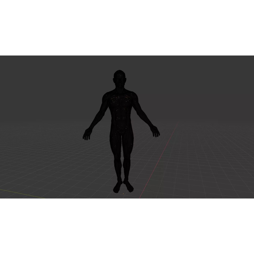 Human Muscle System 3D Model – Realistic Anatomy for Medical Use - View 16