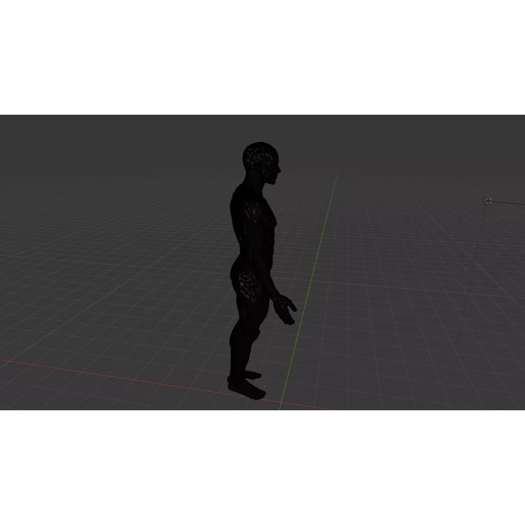 Human Muscle System 3D Model – Realistic Anatomy for Medical Use - View 18