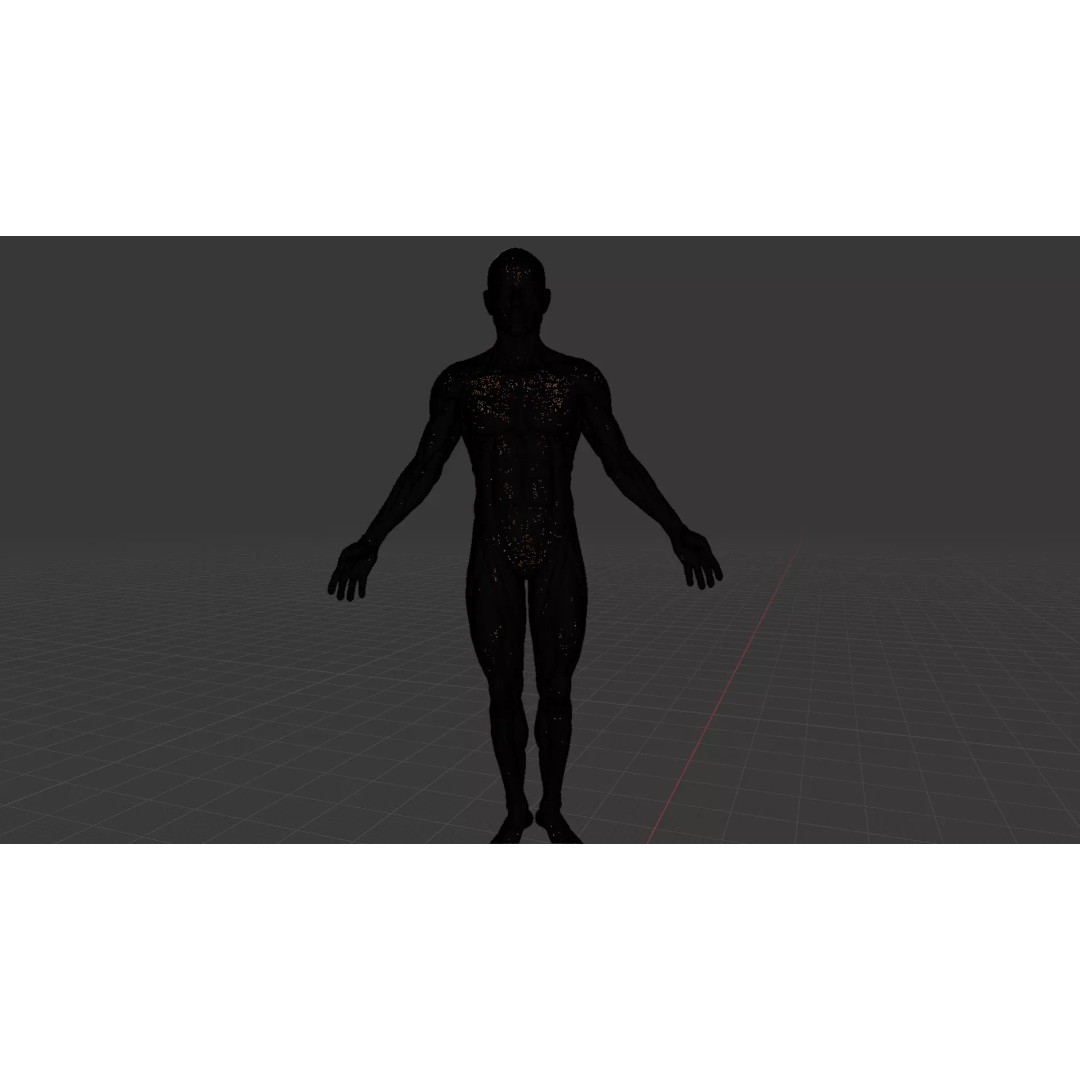 Human Muscle System 3D Model – Realistic Anatomy for Medical Use - View 6