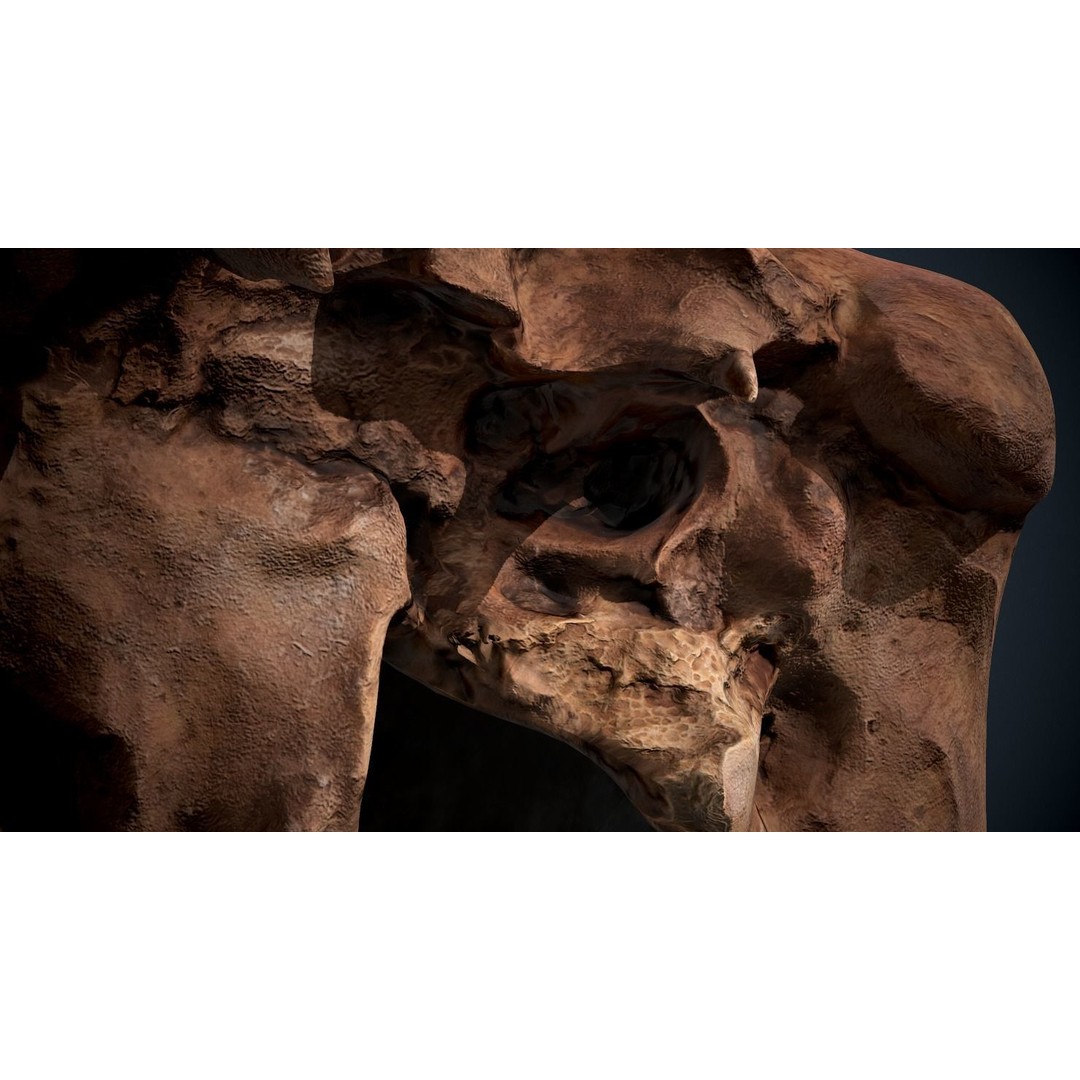 Real Human Skull 3D Model – Low Poly Game Asset, FBX, OBJ - View 18