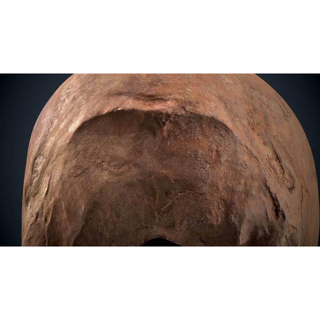 Real Human Skull 3D Model – Low Poly Game Asset, FBX, OBJ - View 20