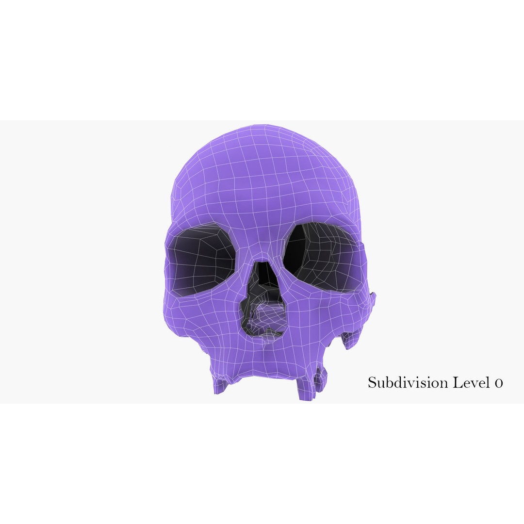 Real Human Skull 3D Model – Low Poly Game Asset, FBX, OBJ - View 45