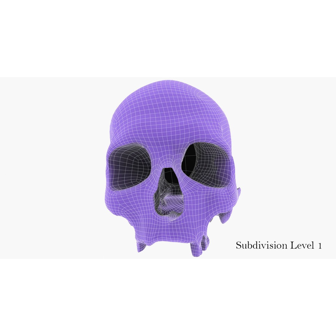 Real Human Skull 3D Model – Low Poly Game Asset, FBX, OBJ - View 46