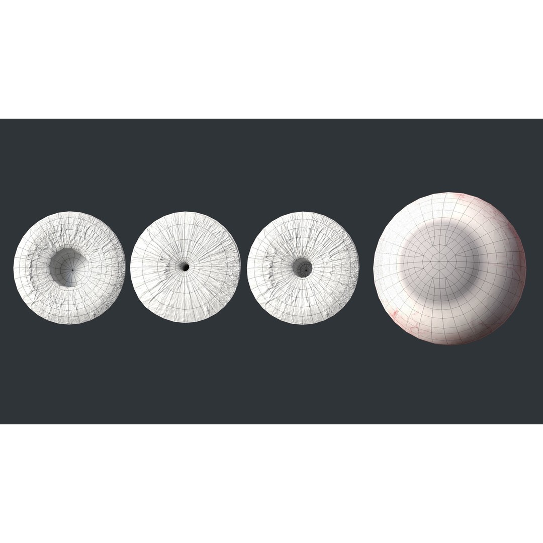 Human Eyes 3D Model – Low Poly Realistic Eye Collection, FBX