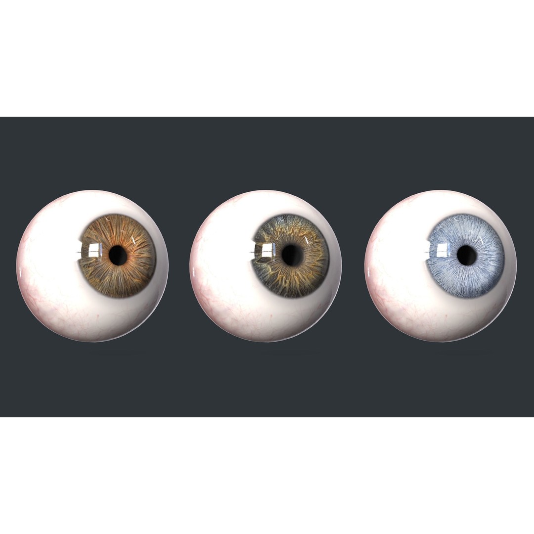 Human Eyes 3D Model – Low Poly Realistic Eye Collection, FBX - View 10