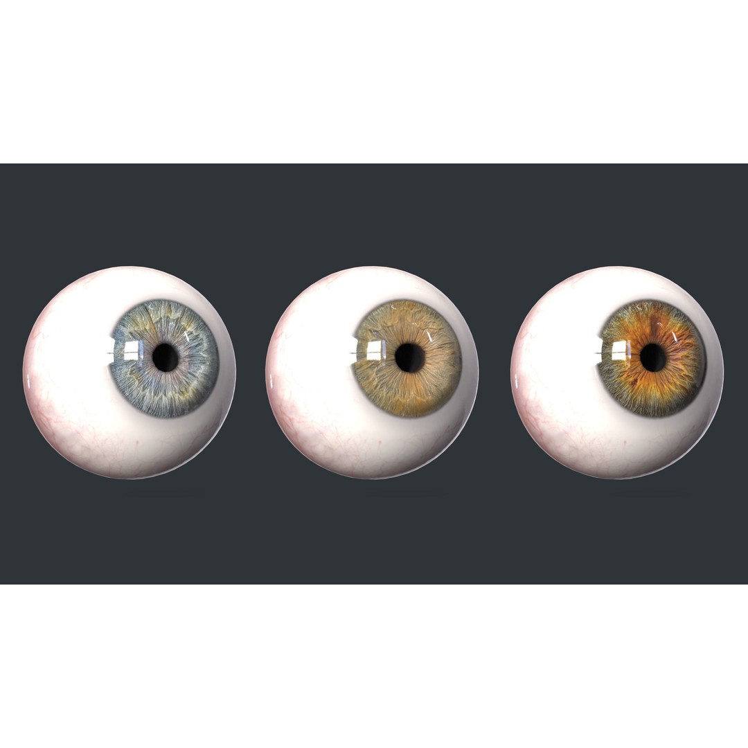 Human Eyes 3D Model – Low Poly Realistic Eye Collection, FBX - View 11