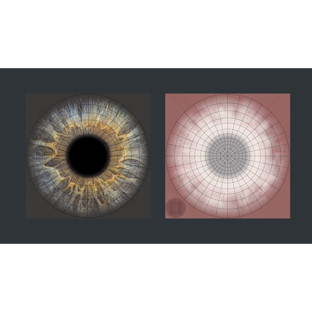 Human Eyes 3D Model – Low Poly Realistic Eye Collection, FBX - View 13