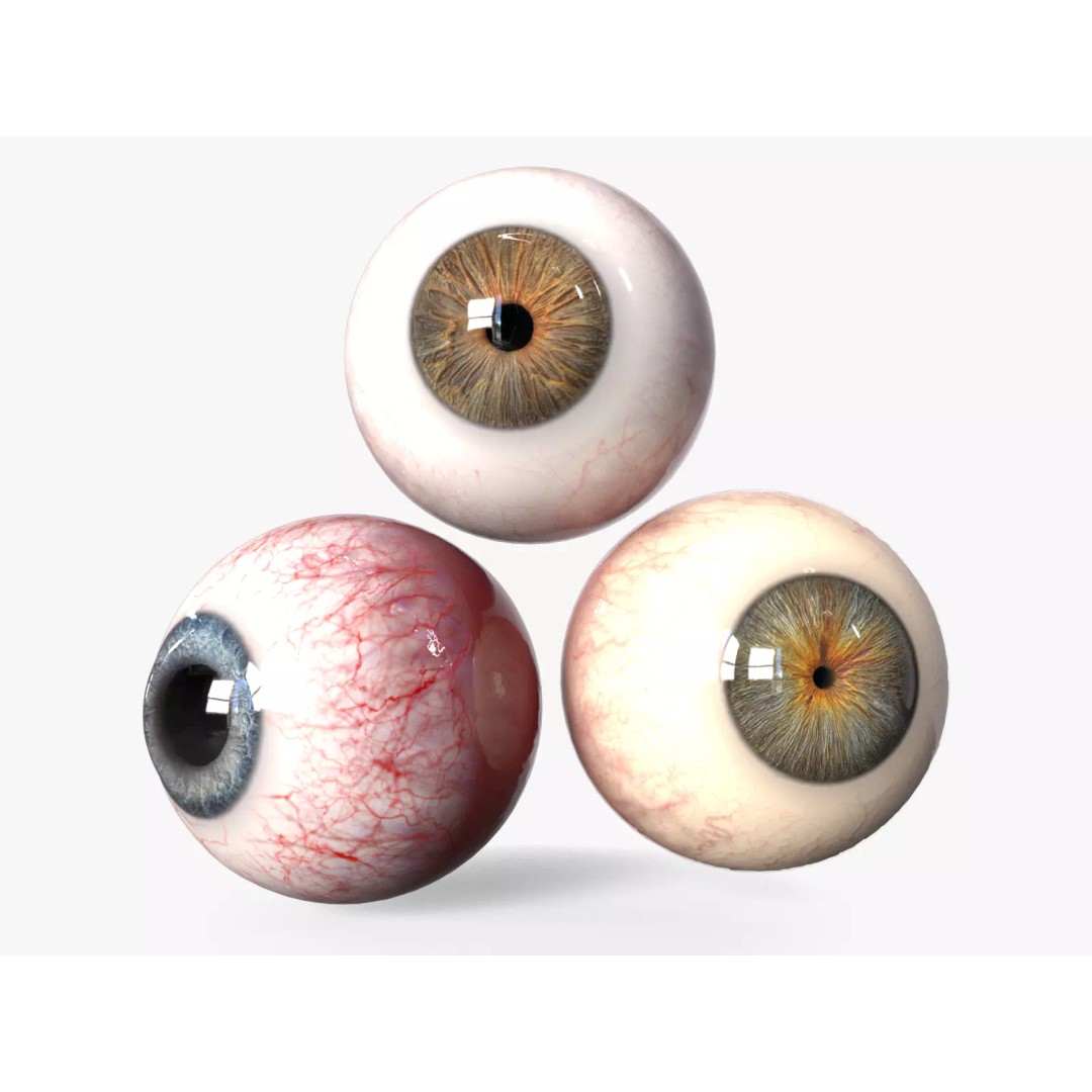 Human Eyes 3D Model – Low Poly Realistic Eye Collection, FBX - View 2