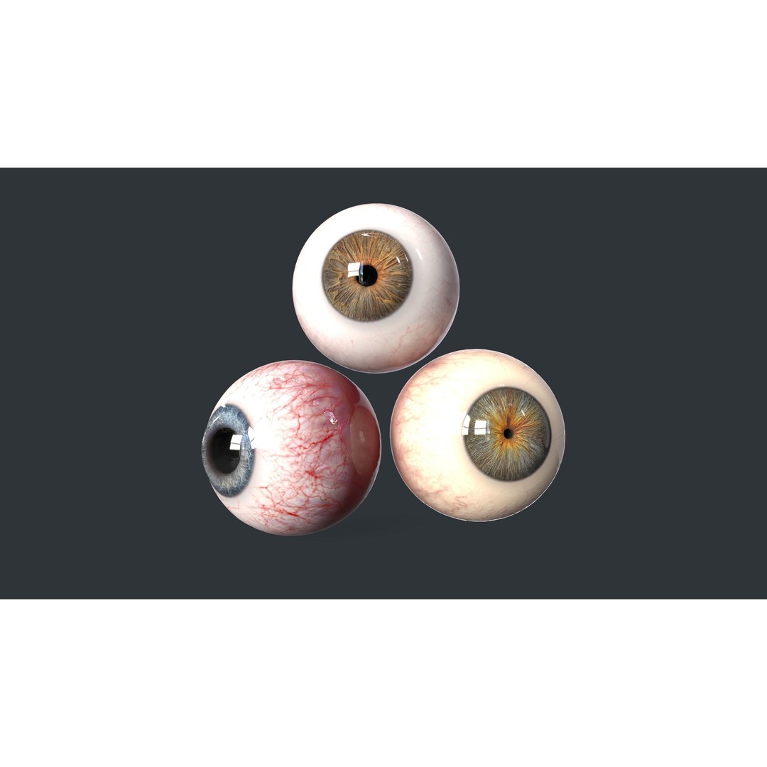 Human Eyes 3D Model – Low Poly Realistic Eye Collection, FBX - View 3