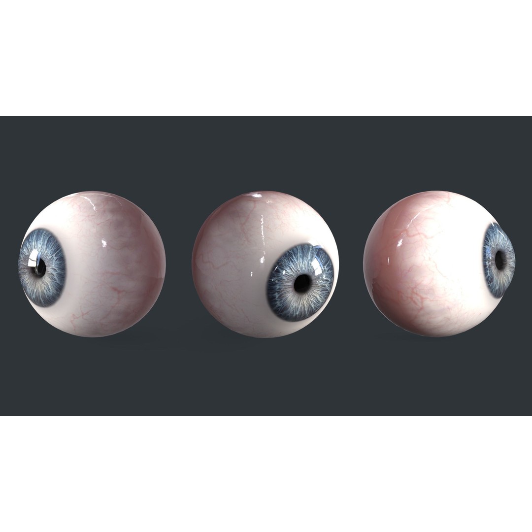 Human Eyes 3D Model – Low Poly Realistic Eye Collection, FBX - View 5