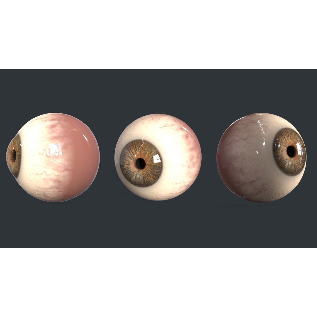 Human Eyes 3D Model – Low Poly Realistic Eye Collection, FBX - View 6