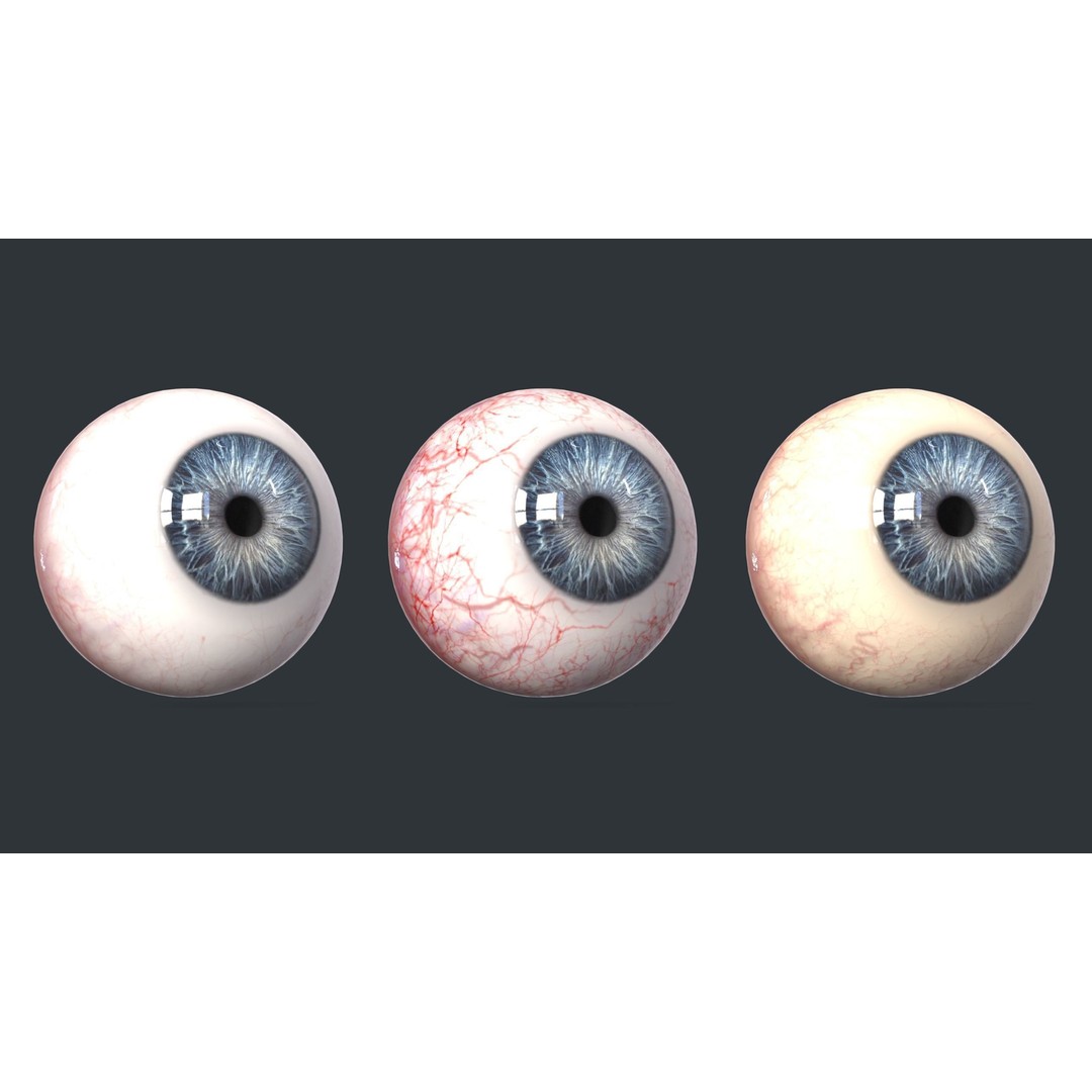 Human Eyes 3D Model – Low Poly Realistic Eye Collection, FBX - View 8