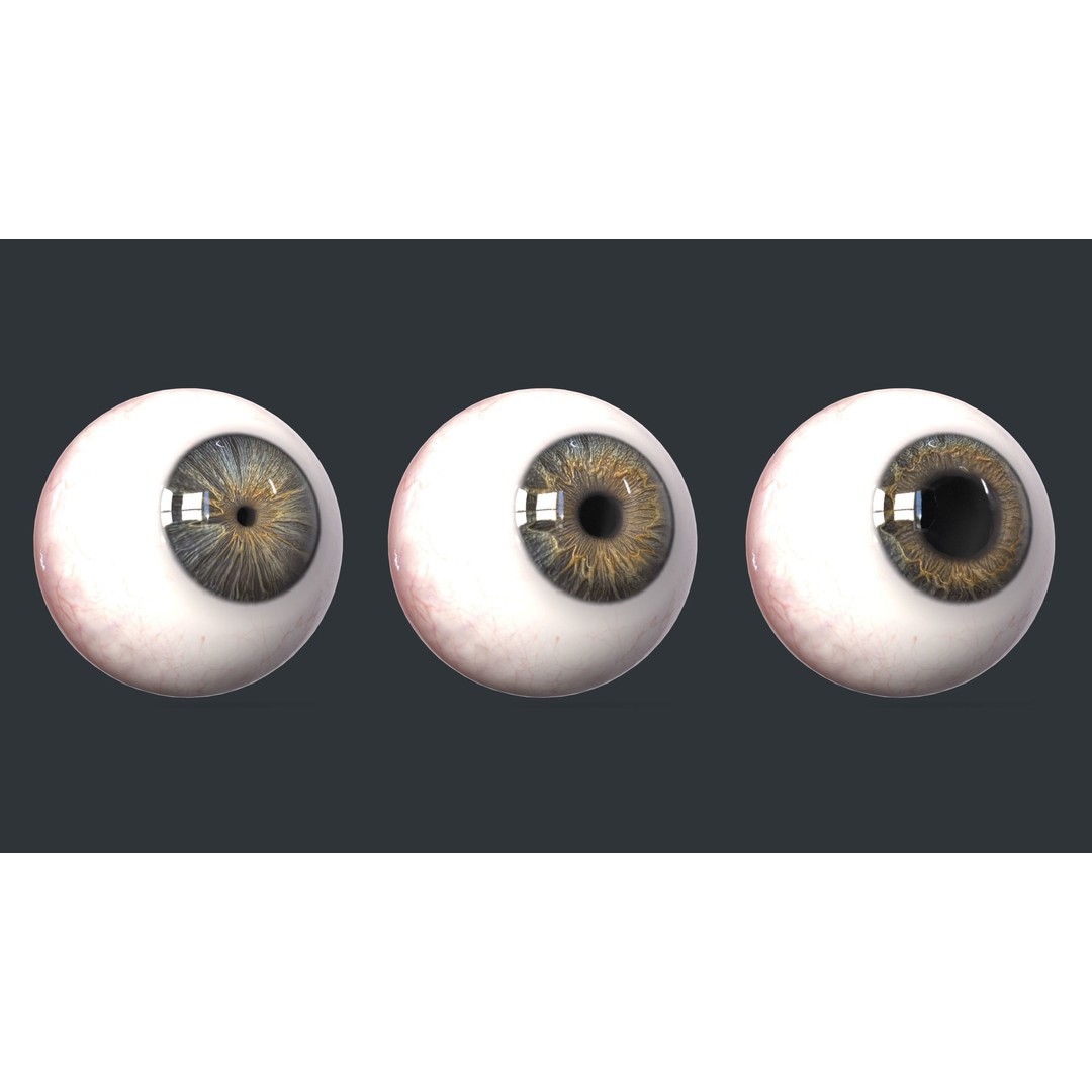 Human Eyes 3D Model – Low Poly Realistic Eye Collection, FBX - View 9
