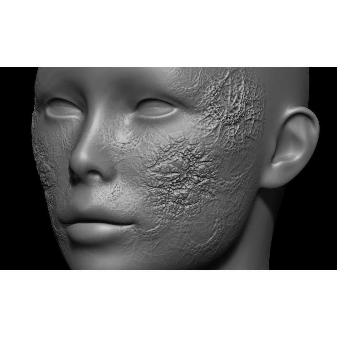 Zombie Skin Brush 3D Model – Alpha Brush Set for Blender & Zbrush - View 11