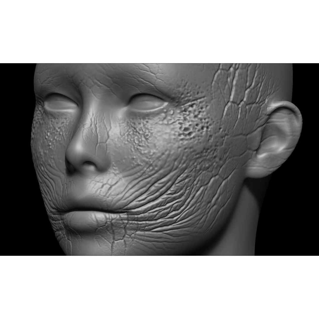 Zombie Skin Brush 3D Model – Alpha Brush Set for Blender & Zbrush - View 13