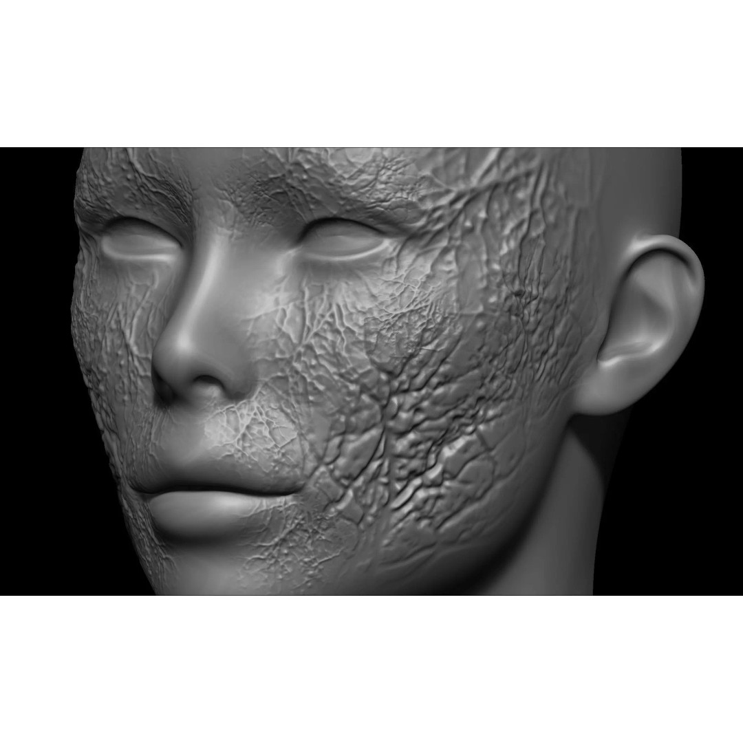 Zombie Skin Brush 3D Model – Alpha Brush Set for Blender & Zbrush - View 14