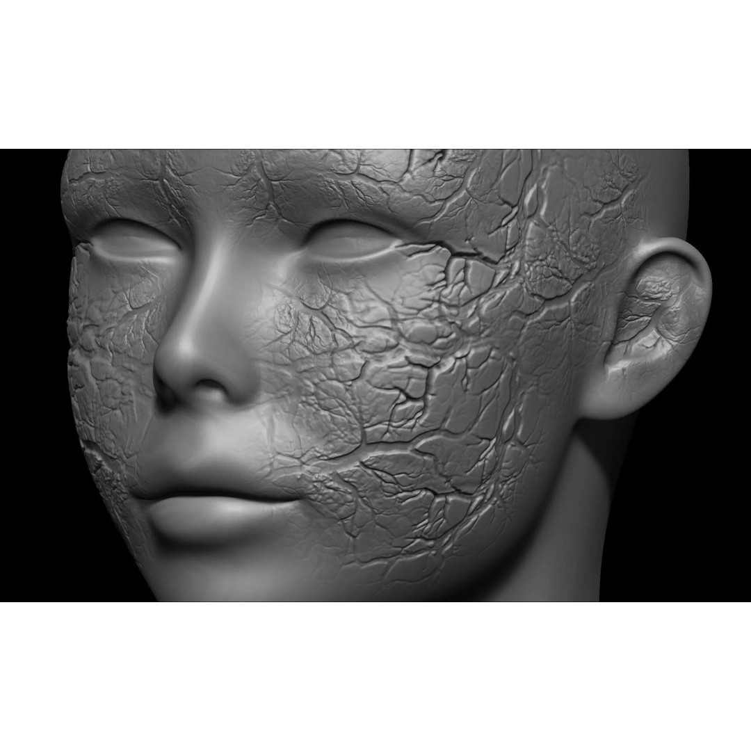 Zombie Skin Brush 3D Model – Alpha Brush Set for Blender & Zbrush - View 16