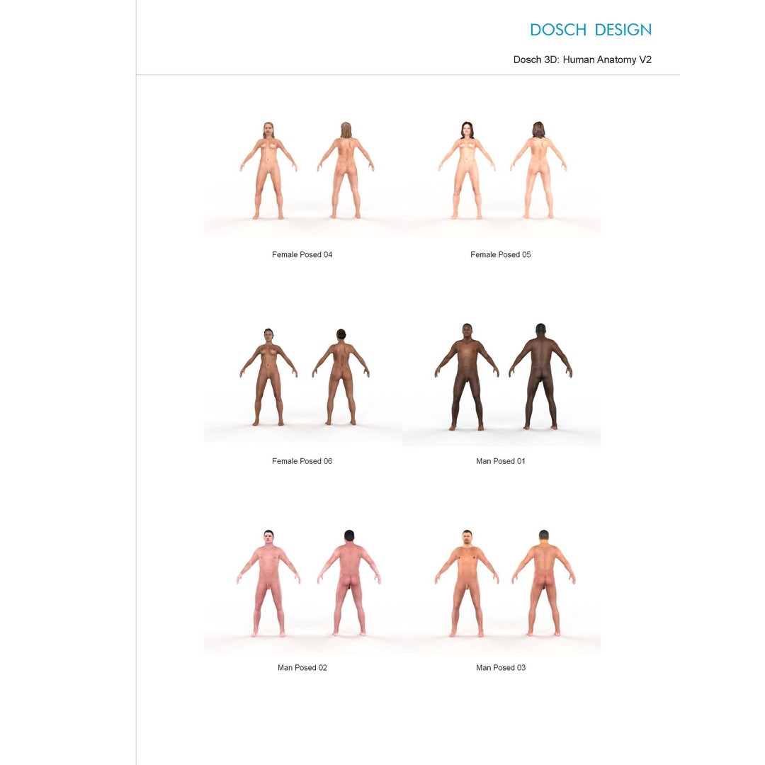 Human Anatomy V2 3D Model – Anatomically Correct PBR Character for Medical Use - View 4