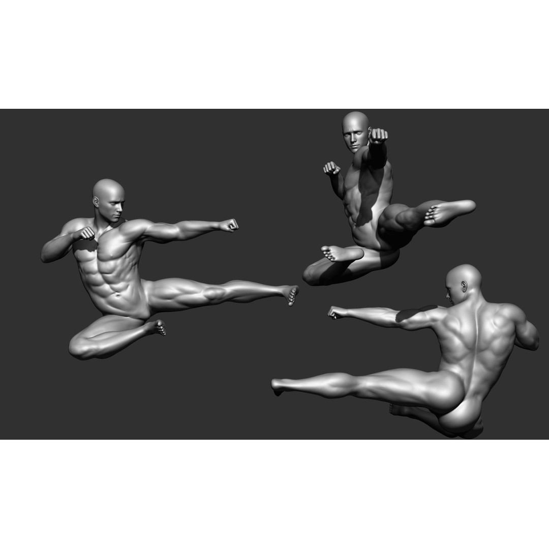 Fighting Poses 3D Model – Full Body Character Pack, OBJ & ZTL